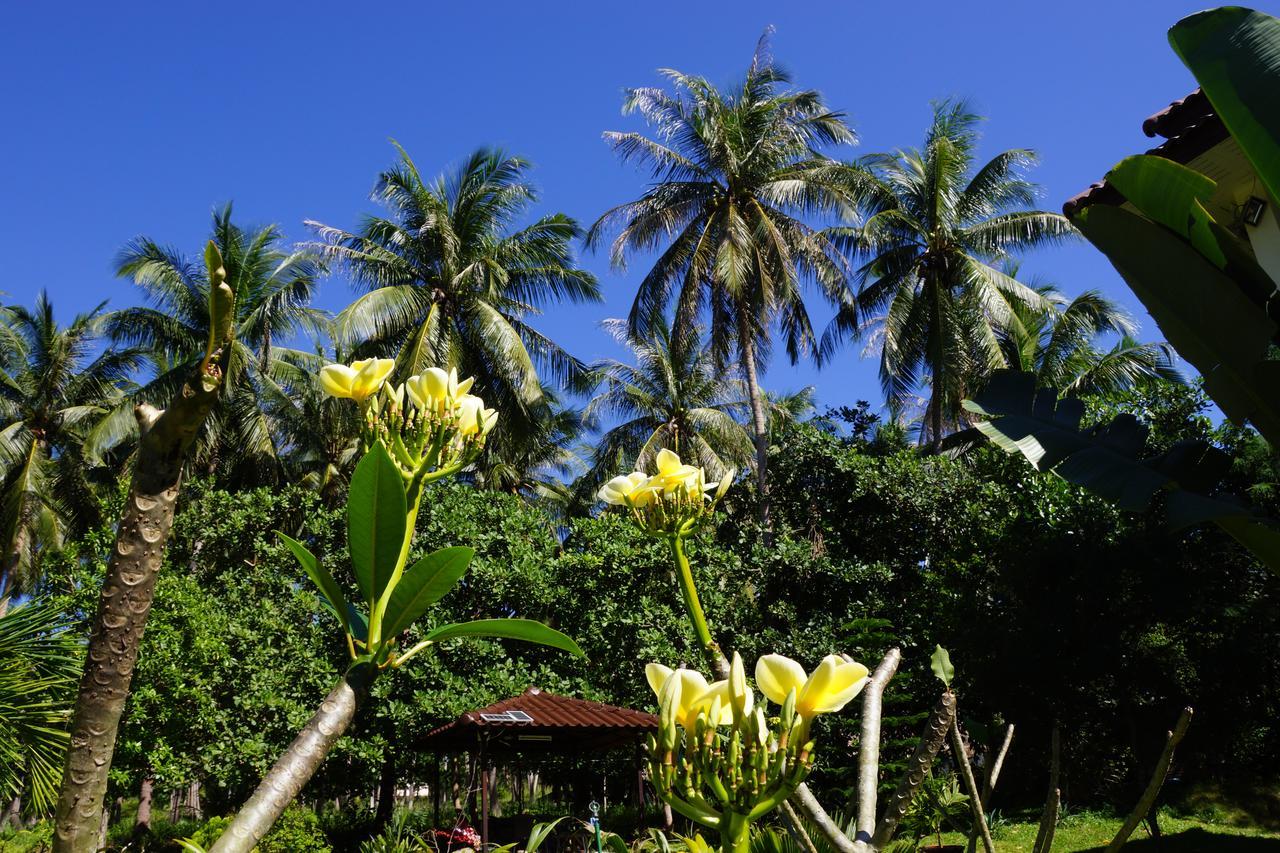 Twin Villas Apartment With Swimming Pool For 2 Houses Wok Tum Eksteriør bilde